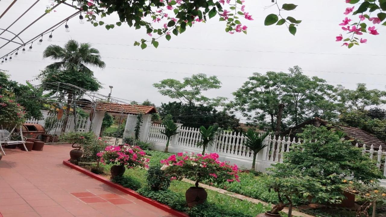 Nha Xanh Homestay نينه بينه المظهر الخارجي الصورة