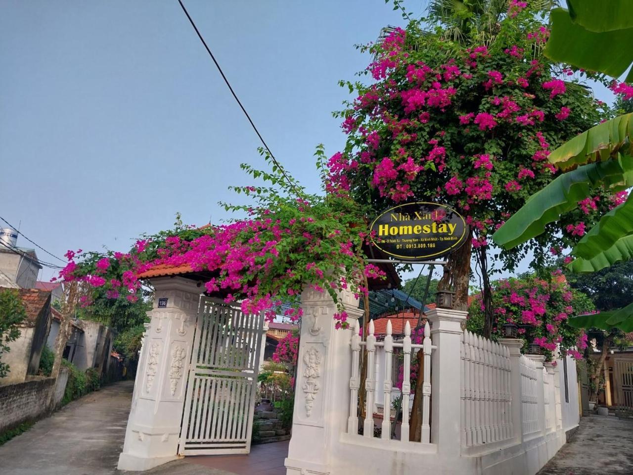 Nha Xanh Homestay نينه بينه المظهر الخارجي الصورة