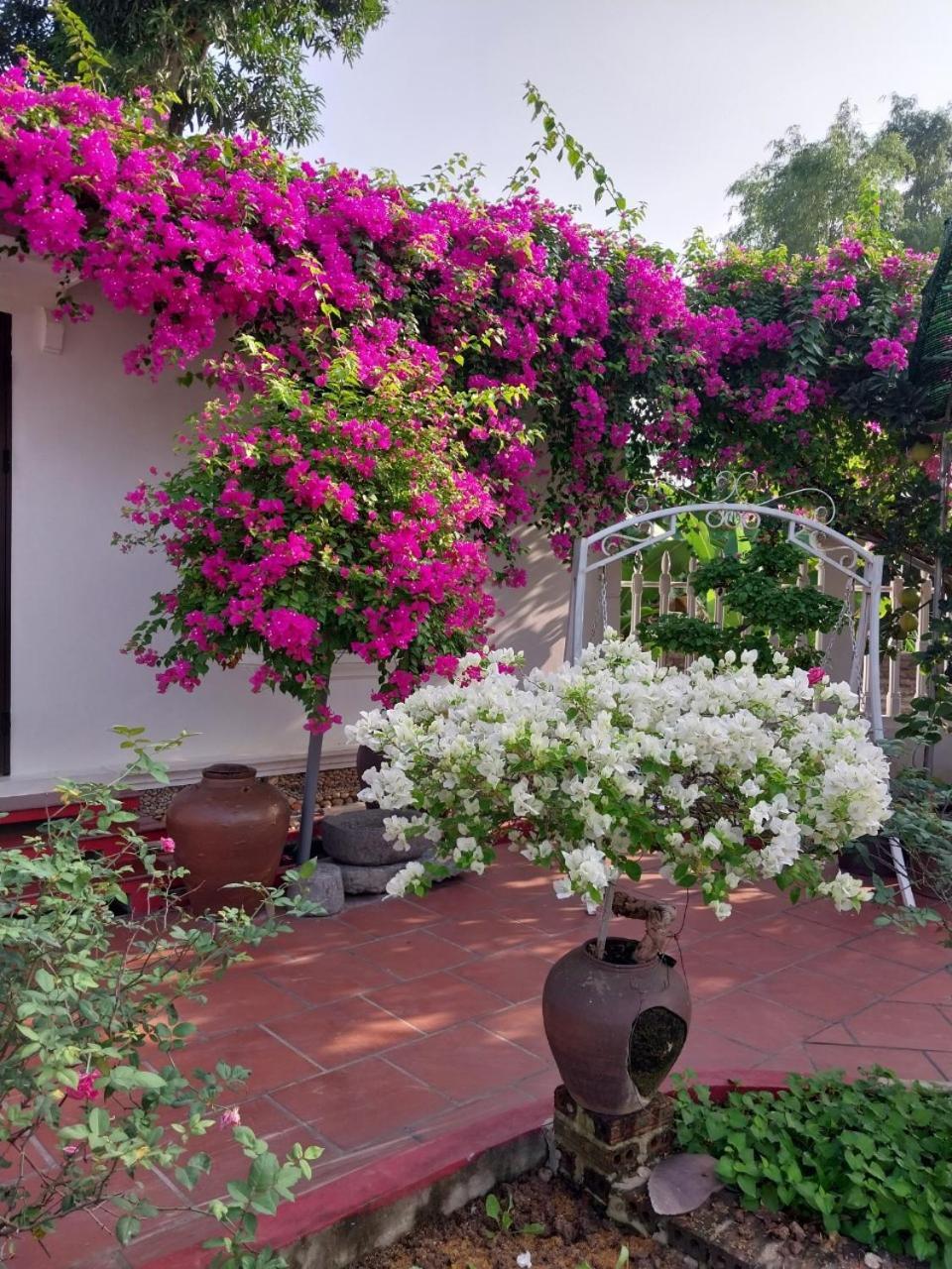 Nha Xanh Homestay نينه بينه المظهر الخارجي الصورة